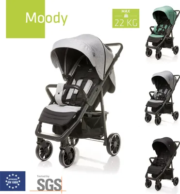 Produktbild von 4Baby | Kinderwagen - Buggy Kinderwagen - Hellgrau - mit Aluminium Rahmen - Beinschutz - Komfortabel und praktisch - bis zu 22 kg - Moody XXII