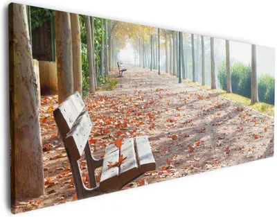 Produktbild von Wallario Premium Leinwandbild Einsame Parkbank an einer Allee - Herbststimmung in Größe 80 x 200 cm