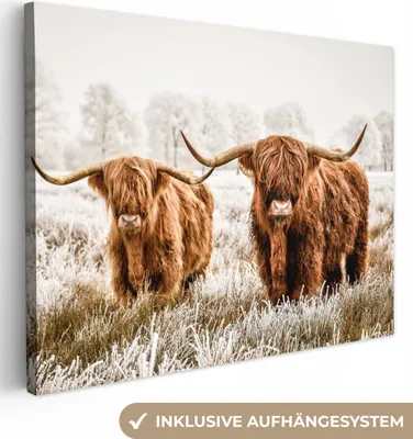 Produktbild von MuchoWow® - Leinwandbilder - Schottischer Highlander - Tiere - Stier, Wandbild, Wanddeko Bilder Wohnzimmer, 40x30cm