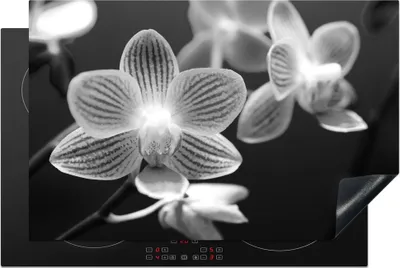 Obrázok produktu pre KitchenYeah® Kryt varnej dosky orchidea kvet - čiernobiely, 80x52cm, kuchynská dekorácia, keramický kryt varnej dosky, krycia doska na varnú dosku