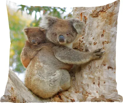 Produktbild von MuchoWow® Zierkissen Sofakissen Wohnzimmer Dekokissen 45x45 cm Koalas - Kind - Baum - Jungen - Mädchen - Schlafpolster - Polster für das Sofa