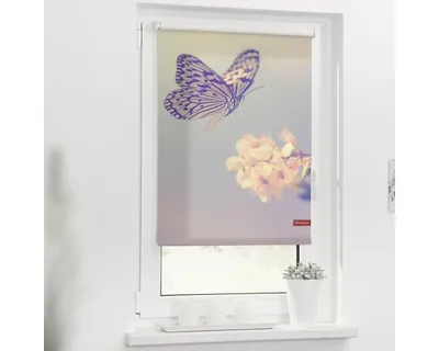 Obrázek produktu pro Roleta na okno Lichtblick bez vrtání Motýl 70x150 cm včetně upínacích držáků
