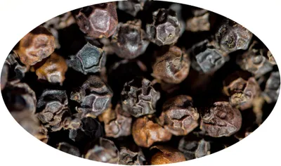 Image de Eder Gewürze -- Poivre Noir Tellicherry en Grains - 1kg