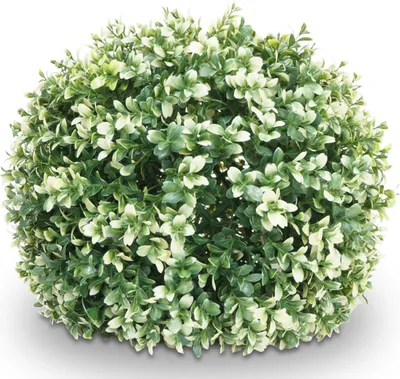 Produktbild von Künstlicher Busch MCW-L77, Buchskugel Dekopflanze Buchsbaumkugel Kunstpflanze Buxus, Outdoor Ø 35cm  weiß