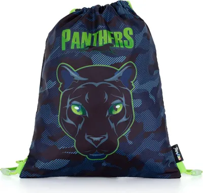 Obrázok produktu pre Karton P+P Cvičebná taška Panther