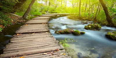 Produktbild von Tulup® Glas-Bild - 100x50 -Wandkunst - Wandbild hinter gehärtetem Sicherheitsglas  - Landschaften - Weg am Fluss - Grün