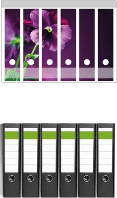 Produktbild von Wallario 6 Stück breite Ordner inkl. Klebeetiketten mit Motive Lila Stiefmütterchen -  Set mit Rückenschildern / Ordnerrücken Stickern
