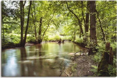 Produktbild von ARTland Leinwandbild Spessart II Größe: 60x40 cm