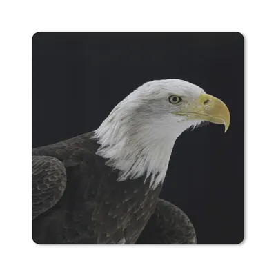 Produktbild von MuchoWow® Mauspad Mousepad Adler - Vogel - Schnabel - Schwarz 20x20 cm - Mousepads - Maus Mat - Pad - Mausunterlage - Desk Mat - Bureauartikeln
