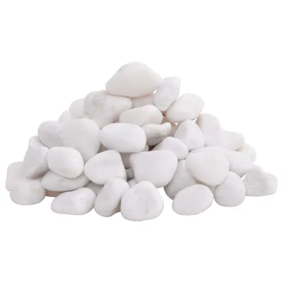 Immagine prodotto di vidaXL Ciottoli levigati 10 kg Bianco 2-5 cm