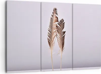 Produktbild von Bild auf Leinwand - Leinwandbild - 3 Teile - Zwei Federn Flieder - 105x70cm - Wand Bild - Wanddeko - Wandbilder - Leinwanddruck - Bilder - Wanddekoration - Leinwand bilder - Wandbild - CE105x70-4335