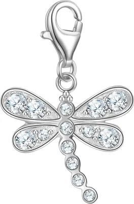 Produktbild von Rafaela Donata Charm Libelle Sterling Silber Zirkonia 50110231