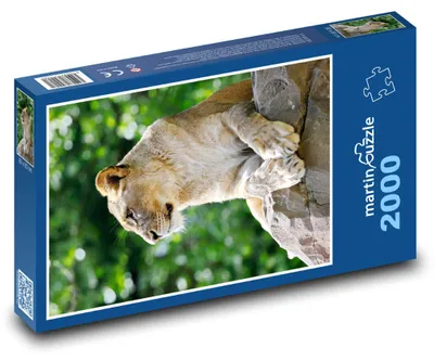 Obrázok produktu pre martinpuzzle - Puzzle 2000 - Lvice