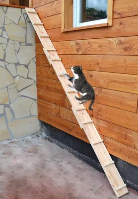 Produktbild von Ruhti - Katzentreppe Katzenleiter Katzenstufe für Balkon, Treppe etc.| 3 m