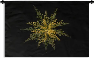 Produktbild von MuchoWow® Wandteppich Wandbehang Eine Goldrutenblüte auf schwarzem Hintergrund 90x60 cm Tapisserie Dekoration Wandtuch - Wandskulpturen - Bildteppich