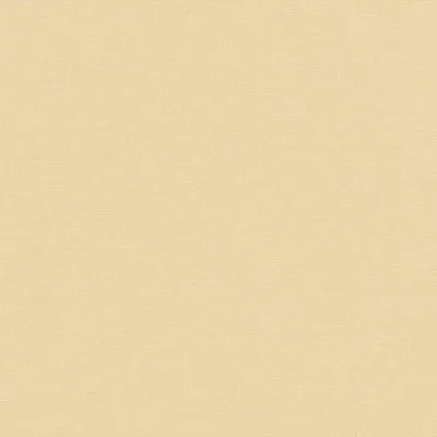 Produktbild von Erismann Vliestapete 10262-02 Casual Chic, Uni beige, 10,05 x 0,53 m