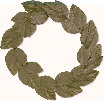 Produktbild von Caesar Lorbeerkranz grün