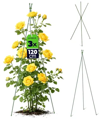 Image de Support pour tomates de jardin - Tige conique pour plantes de 120 cm - Support en acier pour tomates et fleurs - Structure triangulaire - Lot de 3 - Vert