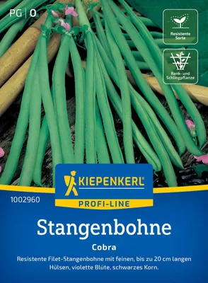 Artikelbild 2 von 'Stangenbohne Cobra' aus der Kategorie Stangenbohnensamen