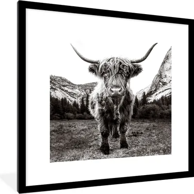 Produktbild von MuchoWow® Gerahmtes Poster Berg - Schwarz - Weiß - Schottischer Highlander 40x40 cm - Poster mit Schwarzem Bilderrahmen Wandposter Rahmen Foto Bilder - Poster - Plakat im Rahmen