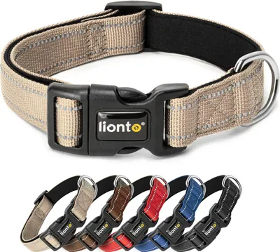 Produktbild von lionto Hundehalsband: Strapazierfähiges Nylon, Größe XS, gepolstert, reflektierend, Klickverschluss, beige