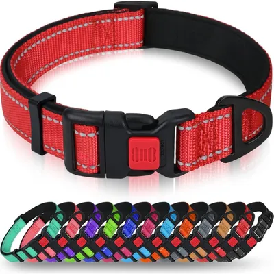 Productafbeelding van Hondenhalsband, neopreen en nylon, rood, maat S (25-40 cm), verstelbaar, reflecterend