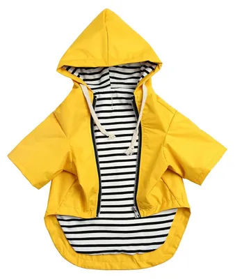 Produktbild von Hunde-Regenjacke mit Reißverschluss - Wasserabweisend und Verstellbar