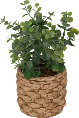 Produktbild von Künstlicher eukalyptus im topf "jaye" h27cm  - Atmosphera créateur d'intérieur