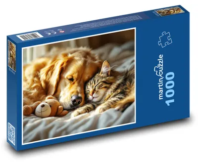 Obrázek produktu pro martinpuzzle - Puzzle 1000 - Kočka a pes spí s plyšákem