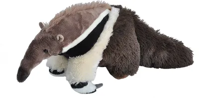 Produktbild von Wild Republic Pluschtier Ameisenbar - Plusch - 30 cm - Pluschtier