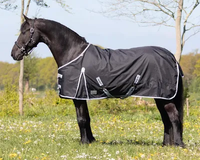 Produktbild von QHP Turnout Weidedecke 300g Big Neck- schwarz, 145