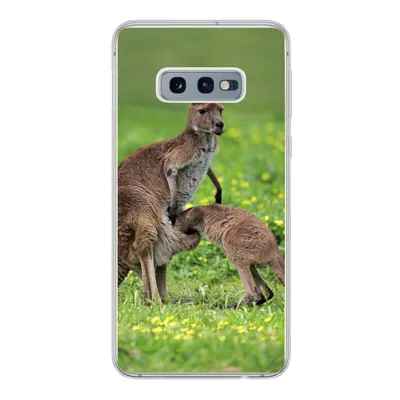 Produktbild von MuchoWow® Handyhülle Schutzhülle Hülle für Samsung Galaxy S10e Känguru - Blumen - Jung Silikon Softcase Handy Hülle - Handy