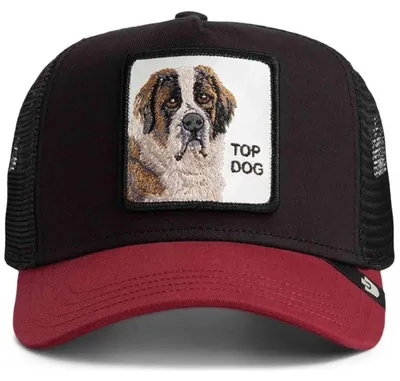 Immagine prodotto di Cappellino Goorin Bros 101-1788VOI18 da Unisex
