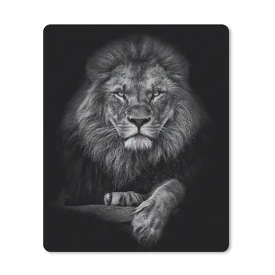 Produktbild von MuchoWow® Mauspad Mousepad Löwe - Tiere - Schwarz - Weiß 19x23 cm - Mousepads - Maus Mat - Pad - Mausunterlage - Mauspads - Spielen