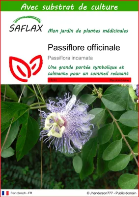 Image de SAFLAX  - Passiflore officinale - 5 graines - Avec substrat - Passiflora