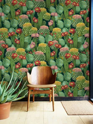 Produktbild von Coloray Fototapete 312x219 cm Vlies-Fototapete - vollständige Kakteenblumen