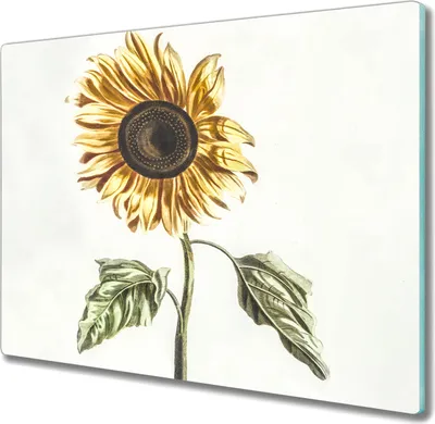 Produktbild von Coloray Hackbrett Herdabdeckplatte 60x52 cm Küchenbrett Kochplattenabdeckung Schneidebrett - Blumen Pflanzen