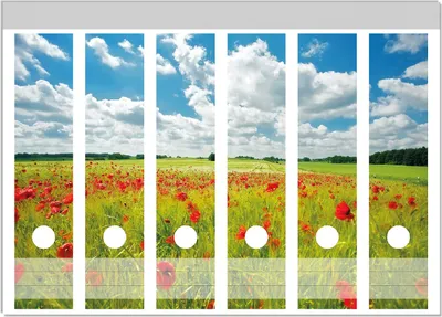 Produktbild von Wallario Ordnerrücken Sticker, selbstklebend für breite Ordner, 6 Stück, Motiv Grüne Wiese mit Mohnblumen