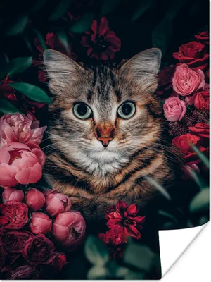 Produktbild von MuchoWow® Poster Katze - Blumen - Tiere - Botanisch 90x120 cm - Wohnzimmer