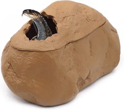 Produktbild von Versteck für Schildkröten, Schlangen und Bartagamen – Terrarium-Höhle als Unterschlupf für Reptilien und Amphibien