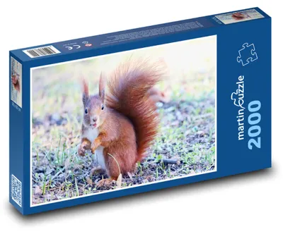 Obrázok produktu pre martinpuzzle - Puzzle 2000 - Motív: Zvieratá - vevericka