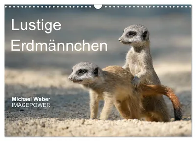Produktbild von Lustige Erdmännchen (Wandkalender 2027 DIN A3 quer), CALVENDO Monatskalender