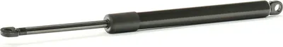 Produktbild von RIDEX 1207G0002 Gasfeder Verdeckklappe Dämpfer für VW GOLF I Cabriolet (155) 316,5mm 660N