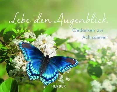 Produktbild von Lebe den Augenblick