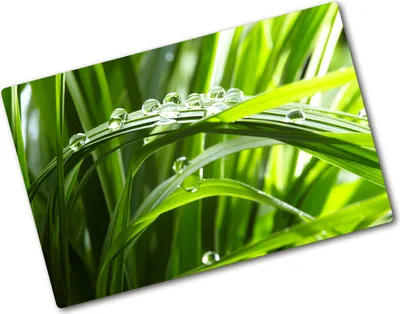 Produktbild von Tulup Glas Herdabdeckplatte - 80x52 cm - Glaskeramikkochfeld-Abdeckung Spritzschutz Glasabdeckplatte - Einteilig - Blumen & Pflanzen - Tropfen Gras - Grün