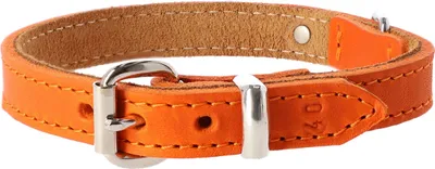 Produktbild von Dingo Soft Leather Lederhalsband Größe S 1,6x40 cm (29-32 cm) Orange