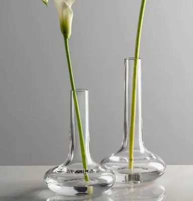 Produktbild von LEONARDO ARIA, Rübenförmige Vase, Glas, Transparent, Tisch, Drinnen, 210 mm