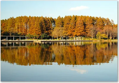 Produktbild von Tulup® Leinwandbild - 100x70 cm - Wandkunst - Drucke auf Leinwand - Leinwanddruck  - Landschaften - Orange - Wald am See