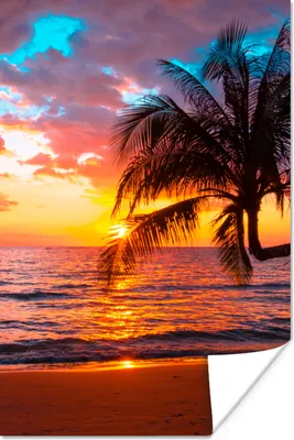 Produktbild von MuchoWow® Poster Palme - Sonnenuntergang - Strand - Meer - Horizont 120x180 cm - Kunstposter