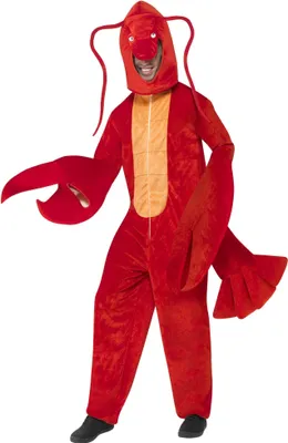 Image de Combinaison homard Taille : M-L
